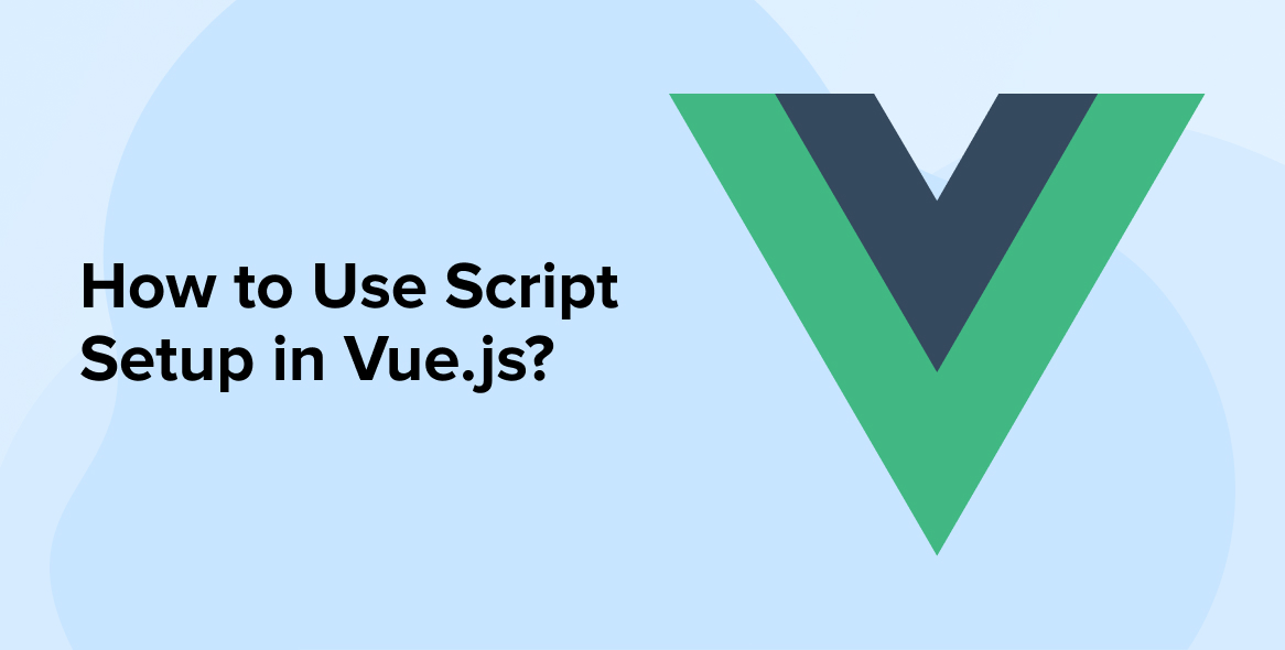 How to Use Script Setup in Vuejs?