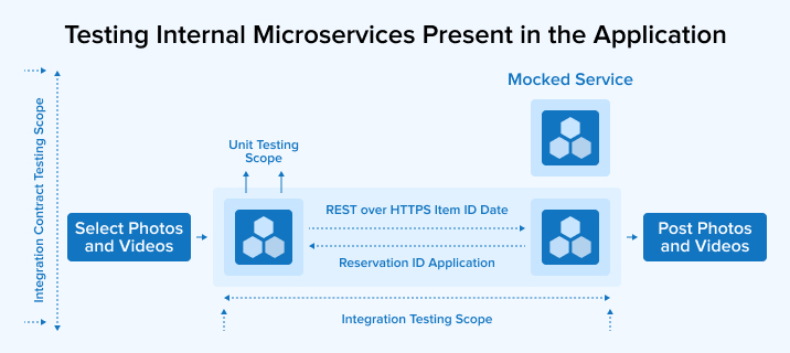 Testing Internal Microservices Present in the Application